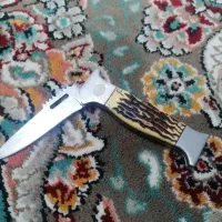 چاقو زامندار|کلکسیون و سرگرمی|بجنورد, |دیوار