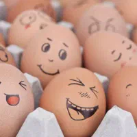 فروش ویژه تخم مرغ|خوردنی و آشامیدنی|نجفآباد, دانش|دیوار