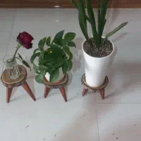 ساخت استندگل(پایهگل) و جا کلیدی چوبی|گل و گیاه طبیعی|بجنورد, |دیوار