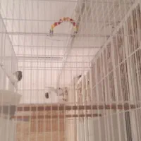 قفس فوق بزرگ پرنده عروس مینا طوطی فنچ کفتر