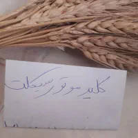 کلید موتور سیکلت سوییچ موتورسیکلت