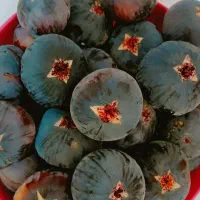 انجیر تازه