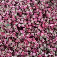 سرمایه گذاری و استخدام جهت تحویل هل .فرش .گل|استخدام مالی، حسابداری، حقوقی|تهران, آذربایجان|دیوار