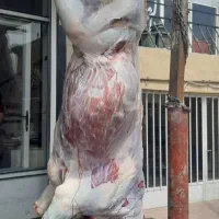 گوشت‌گوساله‌عمده‌کشتارگاه‌کشتارروز چرخ کرده دنبه