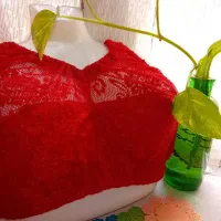 سوتین هندی|لباس|سبزوار, توحیدشهر|دیوار