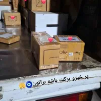 ورتوسیگنچرv10|موبایل|مشهد, نوید|دیوار