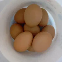 تخم مرغ لاری