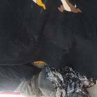 یک خلال لباس نو فروشی|لباس|زابل, |دیوار