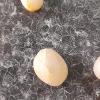 سنگ|جواهرات|نظرآباد, صالح آباد|دیوار