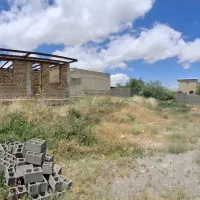 گاوداری و سوله در زنجان|فروش دفتر صنعتی، کشاورزی، تجاری|زنجان, |دیوار