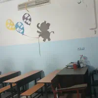راننده خانم