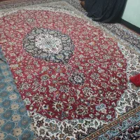 قالی دسته دوم|فرش|کرمان, |دیوار