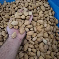 فروش و خرید بادام