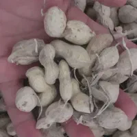 بادام زمینی خوراک دام|حراج|سرپل ذهاب, |دیوار