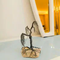 درخت سیمی  (توت مجنون )