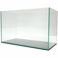 آکواریوم ساده، غذای ماهی