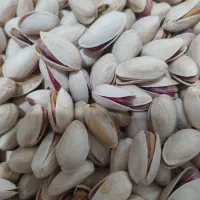 پسته صادراتی ایلخچی|خوردنی و آشامیدنی|تهران, شهرک شریعتی|دیوار