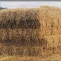 کاه و کلش (سراچینا) خشک کوب