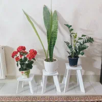 استند گلدون - جنس ام دی اف- مقاوم به آب و ضربه|کتابخانه، شلف، قفسه‌های دیواری|سمنان, |دیوار