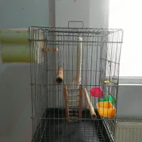 قفس ۱۰۳۳ درشت بافت با لوازم کامل مخصوص طوطیسان|لوازم جانبی حیوانات|تهران, مشیریه|دیوار