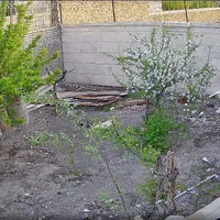 نصب نصاب دوربین مداربسته و انتقال تصویر|دوربین مداربسته|مشهد, حرم مطهر رضوی|دیوار