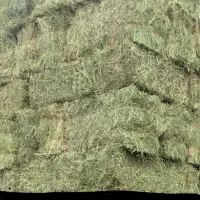 یونجه درجه یک یک یک  چین دوم