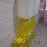 دبه وپت ترشی
