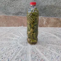 خیارشور