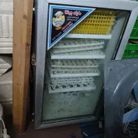 دستگاه جوجه کشی