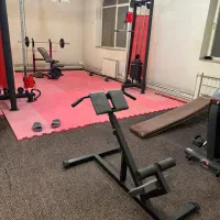 وسایل بدنسازی پرس دمبل صفحه هالتر فیله تاتامی