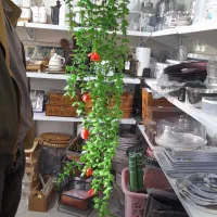 شمشاد|گل مصنوعی|تبریز, |دیوار