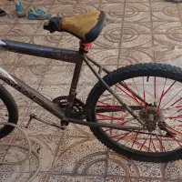 دوچرخه 26|دوچرخه، اسکیت، اسکوتر|بیجار, |دیوار