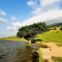 جویای کارم