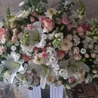 گل رز و لیلیوم فروشی|گل و گیاه طبیعی|آران و بیدگل, |دیوار