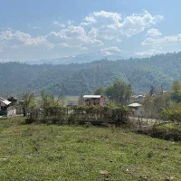 زمین فروشی|فروش زمین و ملک کلنگی|آلاشت, |دیوار