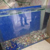 آکواریوم لبه خم  بسیار زیبا