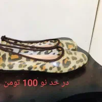 مقداری کفش نو و لباس در حد نو|کیف، کفش، کمربند|تهران, مسعودیه|دیوار
