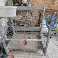 قفس با جنس سفارشی