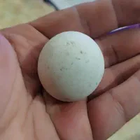 سنگ الماس آسیاب