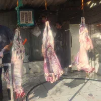 گوسفند زنده قربانی شیشک وبره|حیوانات مزرعه|تهران, پونک|دیوار