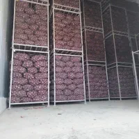 همکاری با صادرات و سرمایه گذاران پیاز لوکس بناب