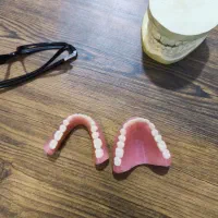 لابراتوار دندانسازی تخصصی(ساخت دندان مصنوعی)|حراج|اصفهان, کشاورزی|دیوار