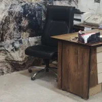منشی خانم