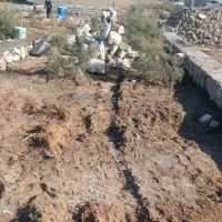 زمین صد متر|فروش زمین و ملک کلنگی|اهواز, کوی فرهنگیان ۱|دیوار