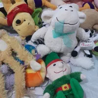 عروسکهای زیبا ومارک دار|اسباببازی|مهاباد (آذربایجان غربی), |دیوار