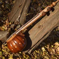 کمانچه پشت بسته الگو دو خم