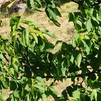 تور و گردشگری کردستانات