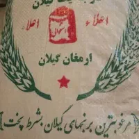 برنج هاشمی شمال درجه ۱