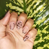 مدل برای کاشت ناخن|خدمات آرایشگری و زیبایی|هشتگرد, شهرک دانش|دیوار