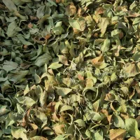 حنای محلی رودان|آرایشی، بهداشتی، درمانی|رودان, |دیوار